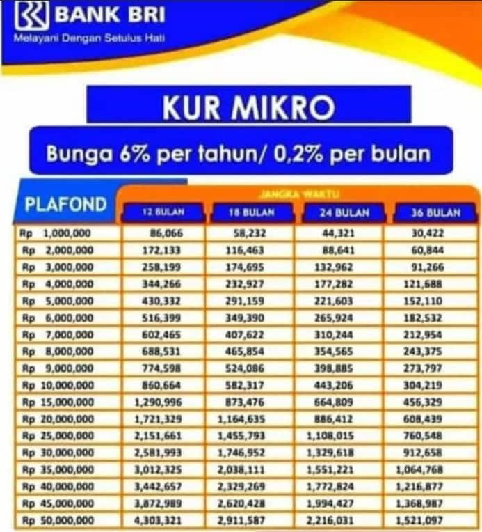KUR Mikro BRI 2024: Tabel Angsuran KUR BRI 2024 Pinjaman Rp10-50 Juta
